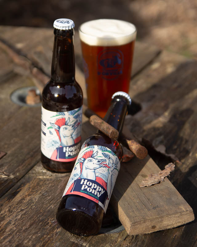 Hoppy Pony