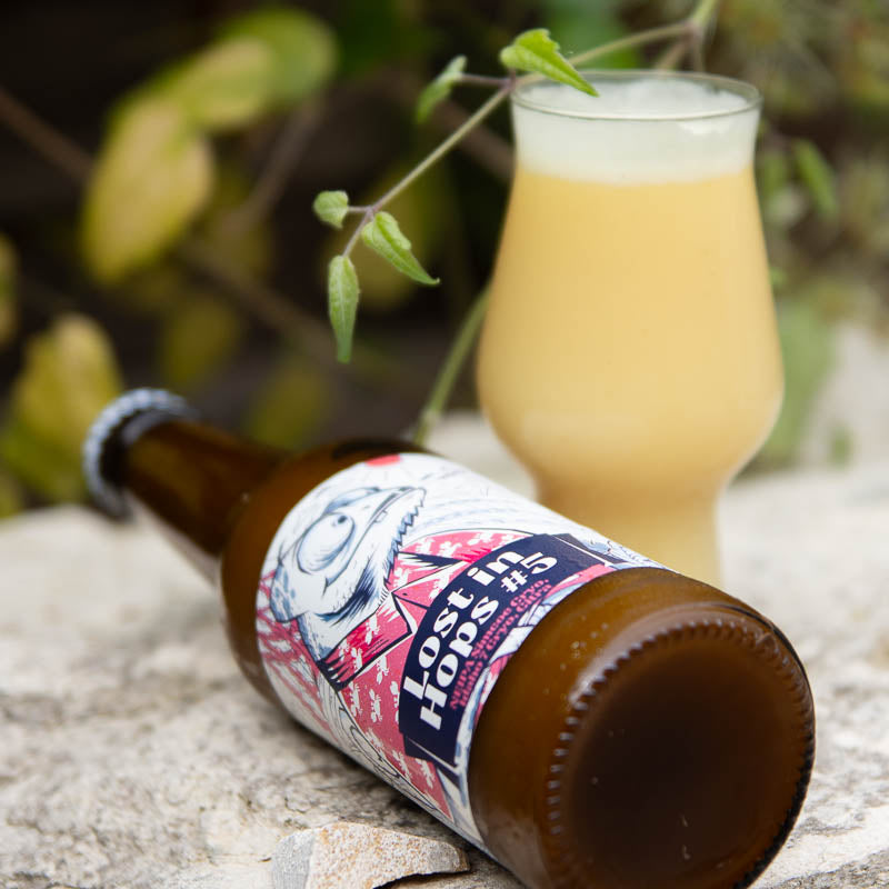 Lost in Hops #5
